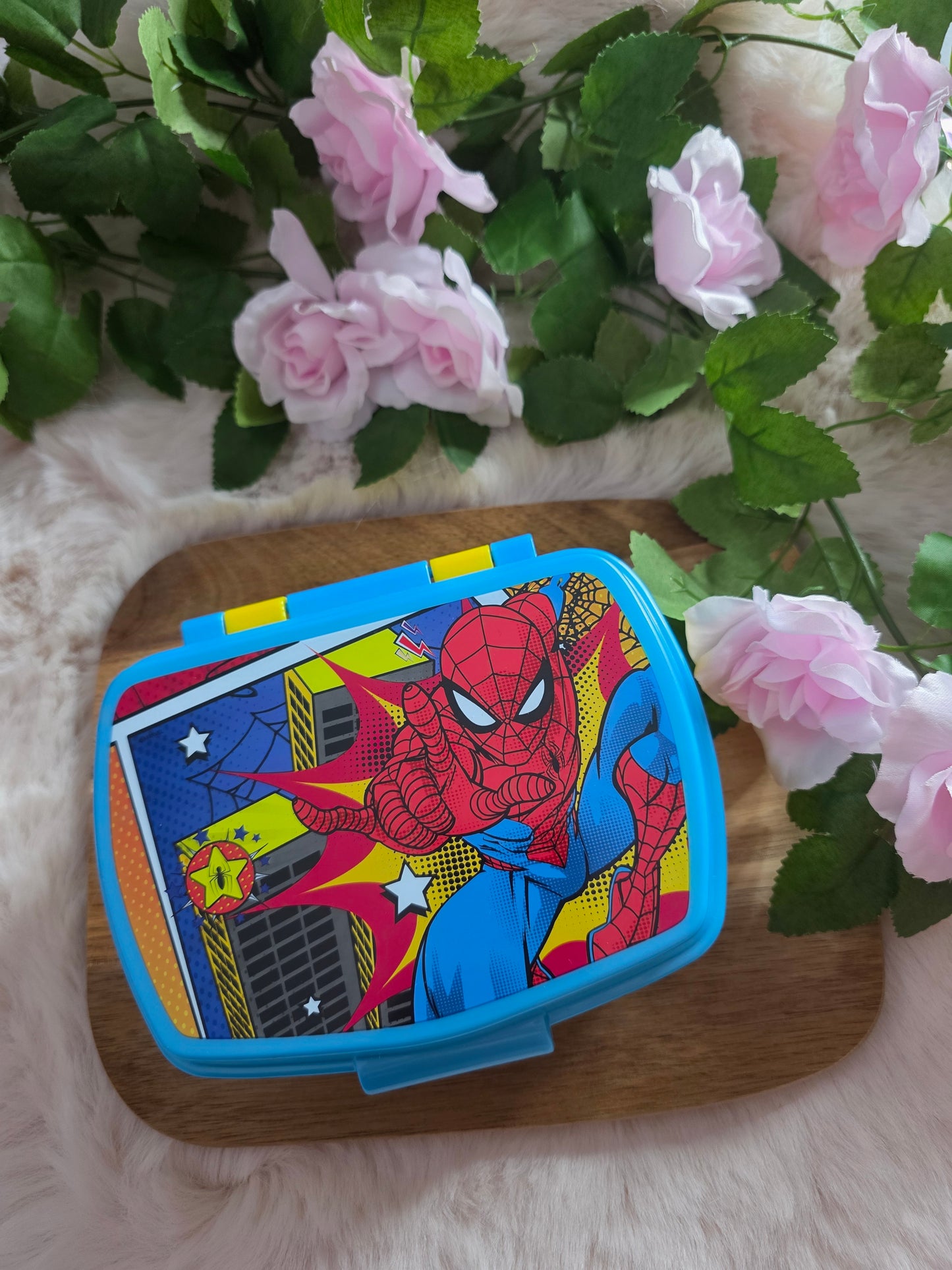 Boîte lunch Spiderman