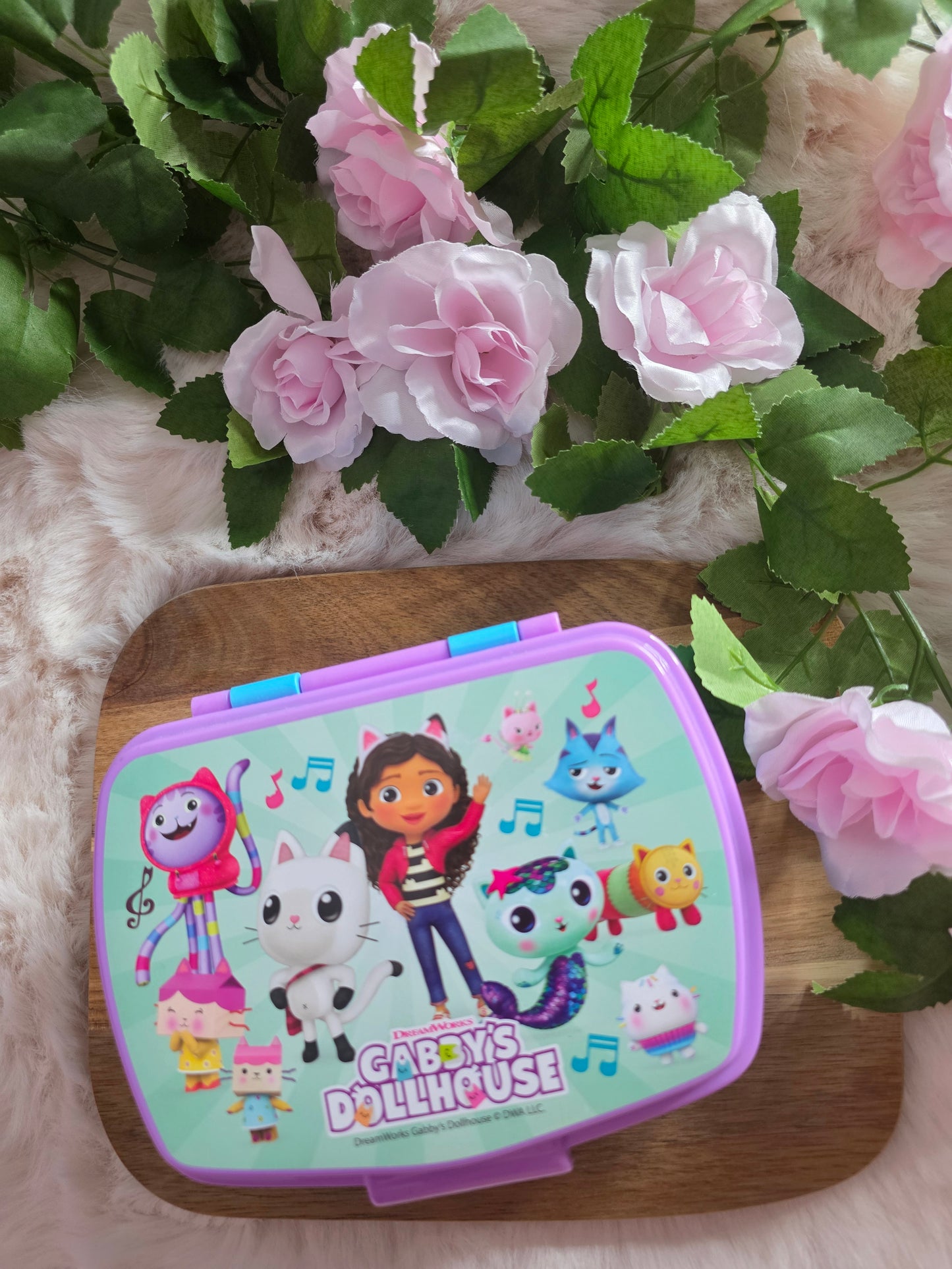 Boite lunch Gabbychat