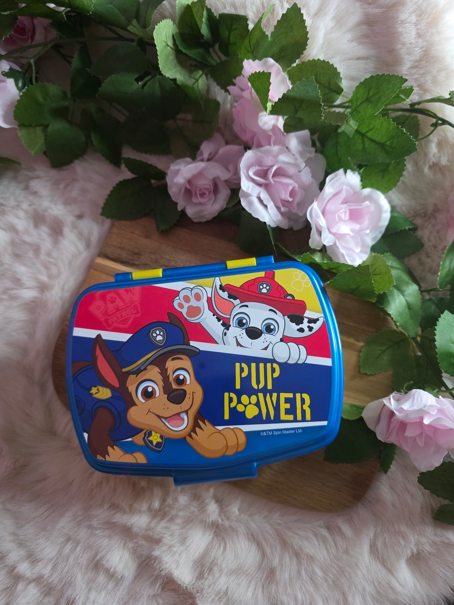 Boite lunch Pat'patrouille